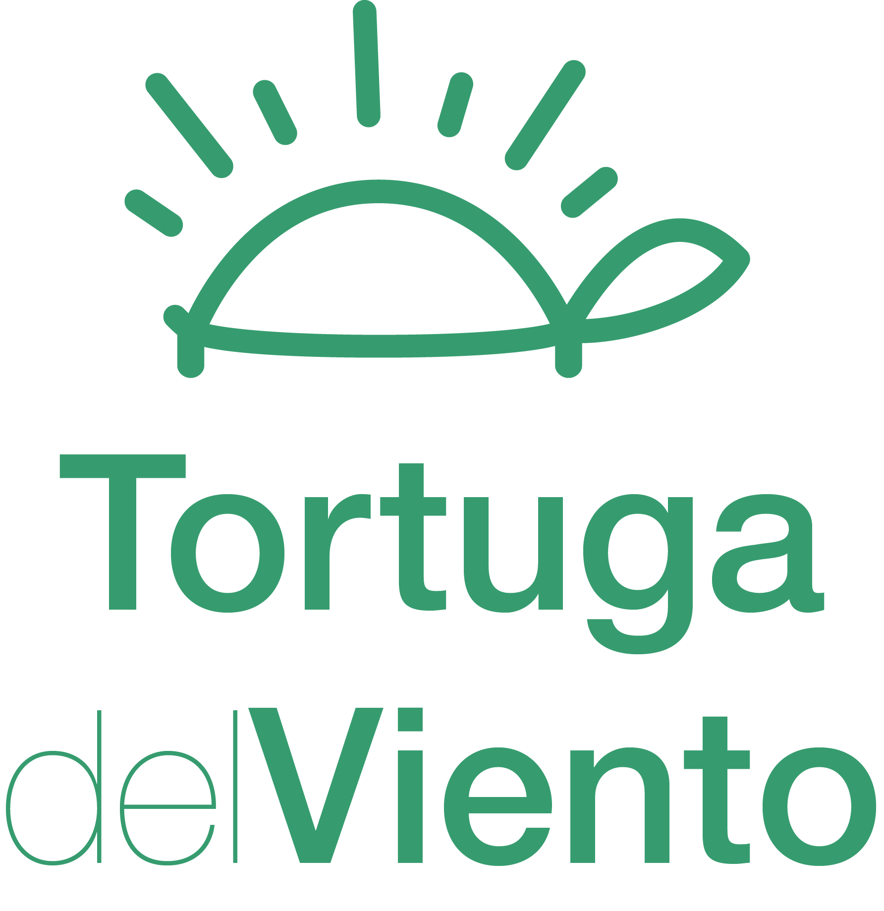 Imgen alusiva a Tortuga del Viento