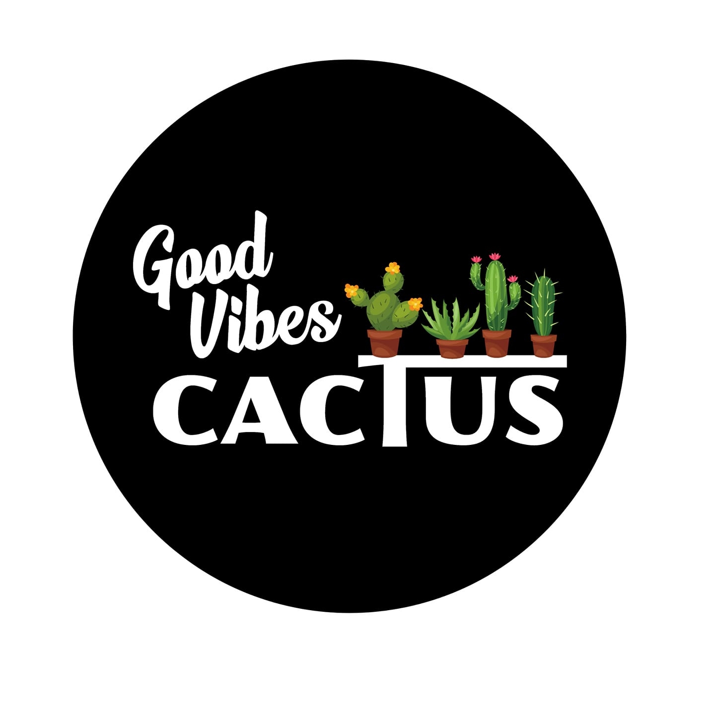 Imgen alusiva a Good Vibes Cactus 